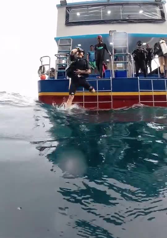 A diver jumping off the dive boat into the sea