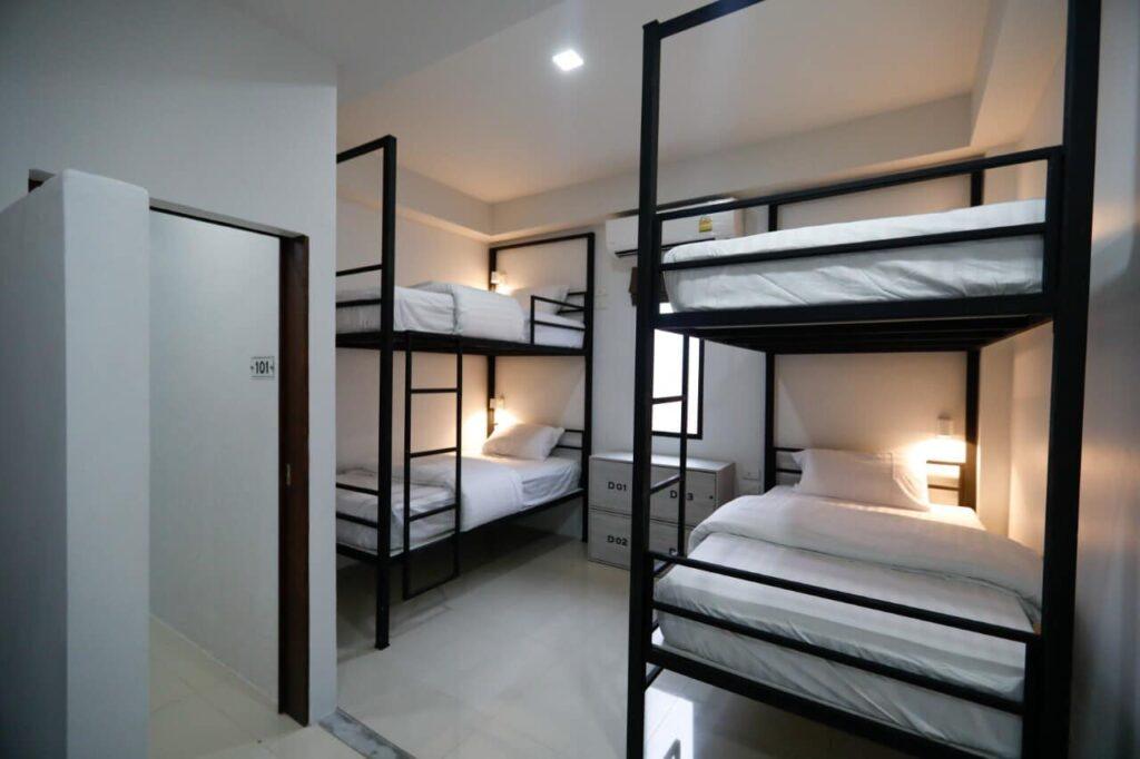 Clean, minimalist bunk beds in the dormitory room at Tall Tree Kata