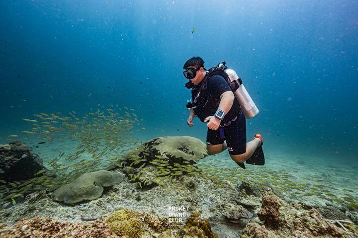 A diver swimming over a sandy reef