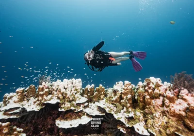 Discover Scuba Diving at Racha Island 2 dives