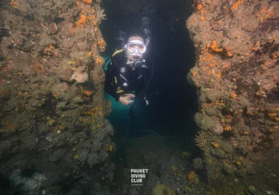 Fun dive King cruiser wreck 3 Dives