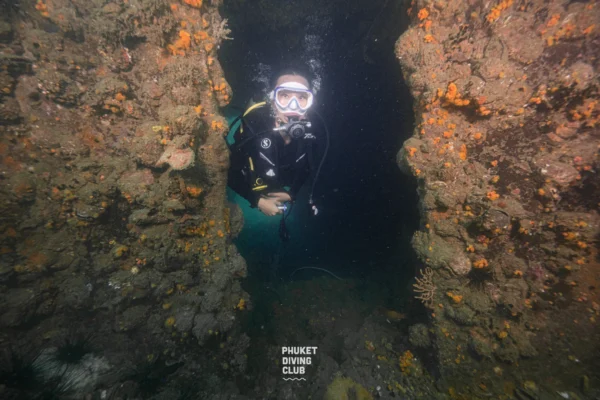 Fun dive King cruiser wreck 3 Dives