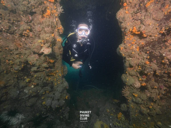 Fun dive King cruiser wreck 3 Dives