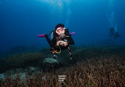PADI Rescue & Emergency First Response (EFR)