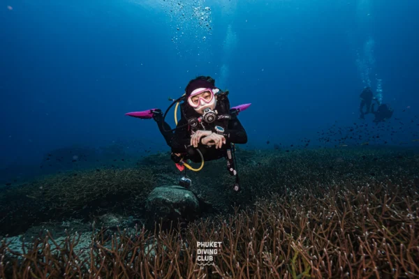 PADI Rescue & Emergency First Response (EFR)