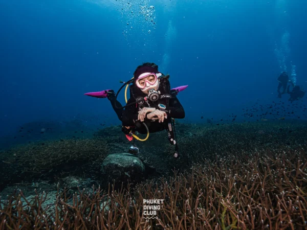 PADI Rescue & Emergency First Response (EFR)