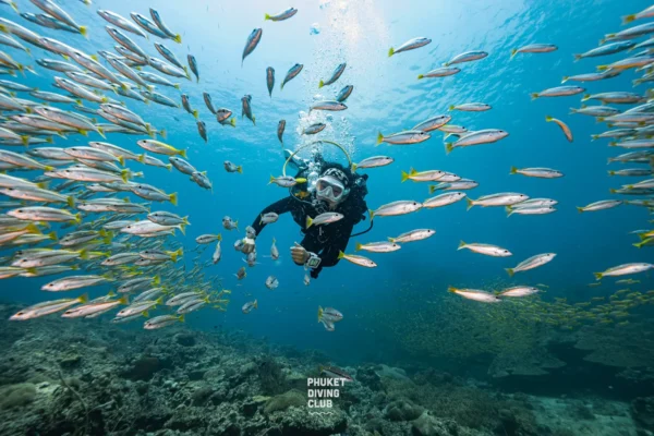 Fun Dive Phi Phi Islands 3 Dives