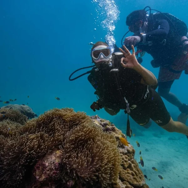 trusted-local-scuba-dive-team-phuket